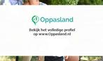Effie zoekt een oppas in Roosendaal voor 1 kind., Vacatures