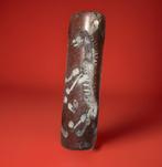 Bronstijd Kornalijn Replica van een carneol Nabije-Oosterse