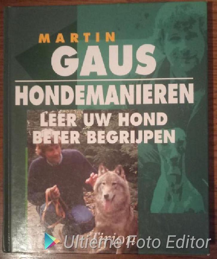 HONDEMANIEREN 9789052101668 Martin Gaus, Boeken, Hobby en Vrije tijd, Gelezen, Verzenden