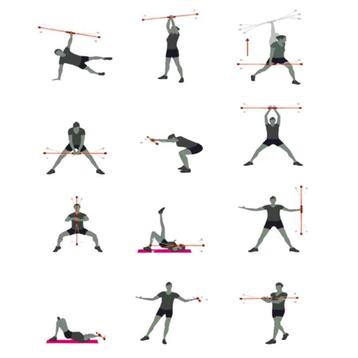 Flex bar vibratie en diepe spier training beschikbaar voor biedingen