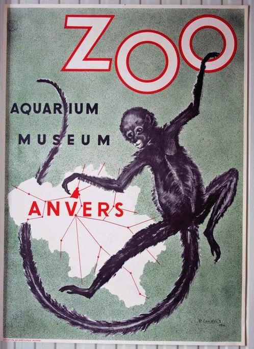 Robert Landois - ZOO Anvers Aquarium & Museum - 1954, Antiek en Kunst, Kunst | Tekeningen en Foto's