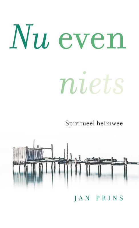Nu even niets 9789020213546 Jan Prins, Boeken, Esoterie en Spiritualiteit, Zo goed als nieuw, Verzenden