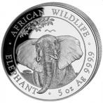 Somalische Olifant 5 oz 2021, Postzegels en Munten, Munten | Afrika, Verzenden, Overige landen, Losse munt, Zilver