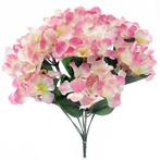 Hortensia 11HYDRANGEA BUSH Pinkroze 35 cm. flowerwall vuller, Ophalen of Verzenden, Nieuw