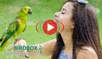 Papegaai en Parkiet ACTIE: THINK OUTSIDE THE CAGE!