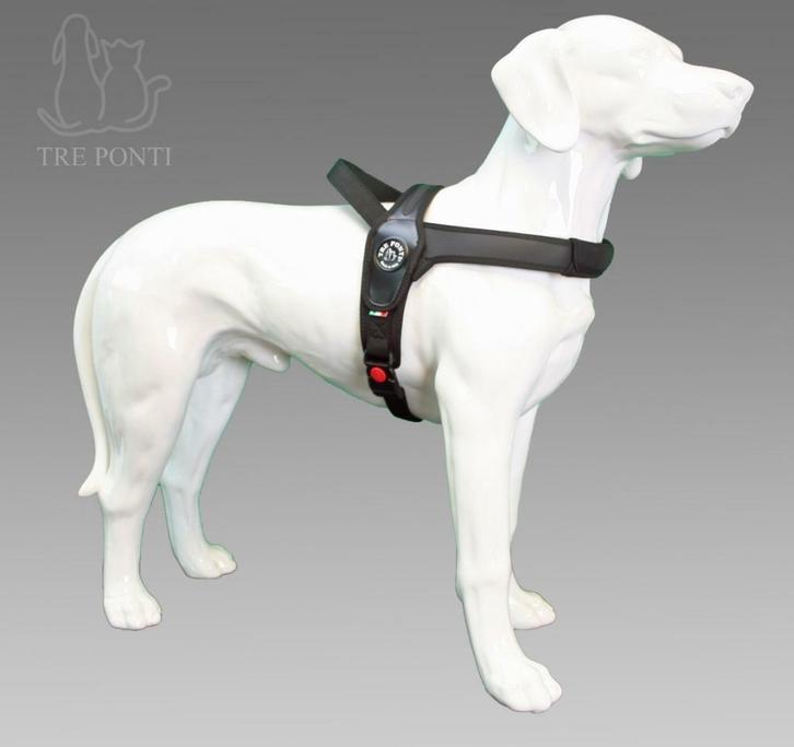 De officiële Treponti webshop, ALLES op voorraad!, Dieren en Toebehoren, Honden | Bulldogs, Pinschers en Molossers, Eén hond, Particulier