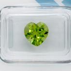 1 pcs Groen, Geel Olivijn - 3.13 ct - International, Nieuw