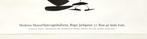 Alexander Calder - Alexander CALDER - Lithography on heavy, Antiek en Kunst