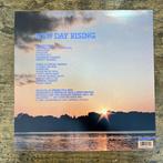 Husker Du - New Day Rising - Vinylplaat - 1990, Nieuw in verpakking