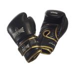 Ernesto Hoost Amateur Boxing Gloves, Ophalen of Verzenden, Nieuw