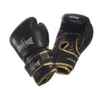 Ernesto Hoost Amateur Boxing Gloves, Nieuw, Ophalen of Verzenden