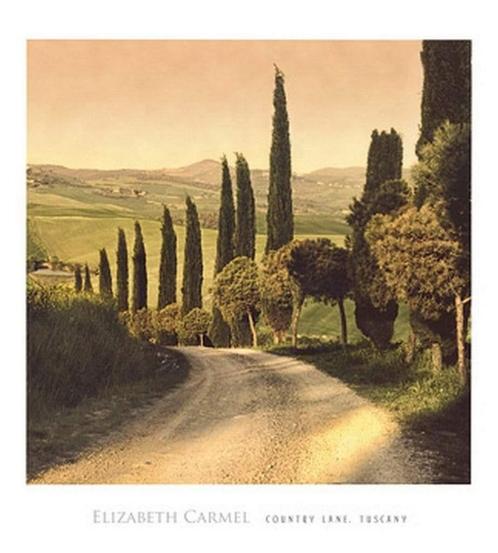 Kunstdruk Elisabeth Carmel - Country Lane, Tuscany 45x50cm, Huis en Inrichting, Woonaccessoires | Schilderijen, Tekeningen en Foto's