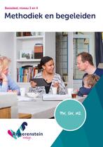 Methodiek en begeleiden 9789037254358, Boeken, Zo goed als nieuw