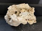 White Moonstone Selected MS10   11,1KG / 32x24x25cm, Dieren en Toebehoren, Vissen | Aquaria en Toebehoren, Ophalen of Verzenden