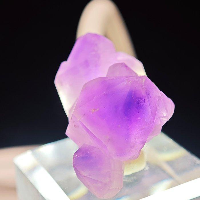 75,45 ct Twin Amethysts Kluster !- 15.09 g - (1), Verzamelen, Mineralen en Fossielen