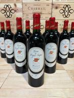 2004 Château Terre de Pique-Sègue Anima Vitis - montravel -, Verzamelen, Nieuw