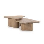 *WOONWINKEL* By-Boo Fall Scandinavische Salontafel Set Mango, Huis en Inrichting, Tafels | Salontafels, Verzenden, Nieuw