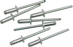 Popnagels - 4.0x19.0mm - 50 stuks, Doe-het-zelf en Verbouw, IJzerwaren en Bevestigingsmiddelen, Ophalen of Verzenden, Nieuw, Minder dan 50 mm