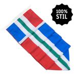 NR 403: Wimpel Groningen 100% stil-300cm (zonder stokje (met, Nieuw