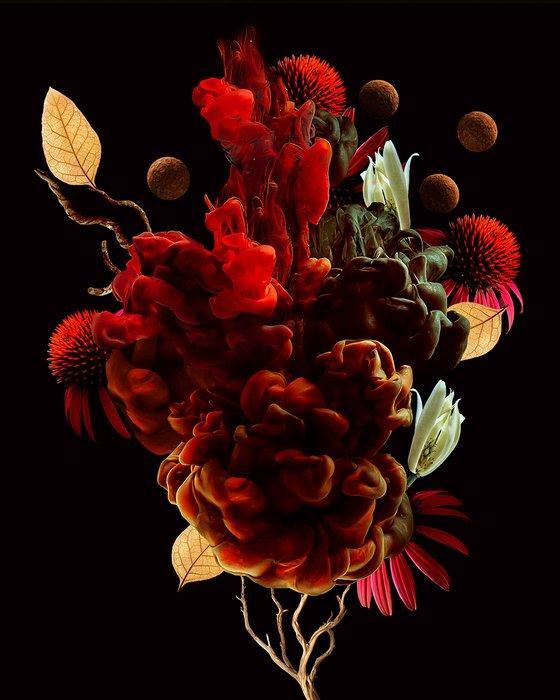 Elena Paraskeva - Blooms Of The Atrium #2, Antiek en Kunst, Kunst | Designobjecten