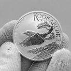 Australië. 1 Dollar 2026 – Kookaburra – 1 oz Silver coin –