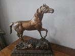 Beeld, Fraai Verguld Gesculpteerd Paard op Sokkel - 37 cm -