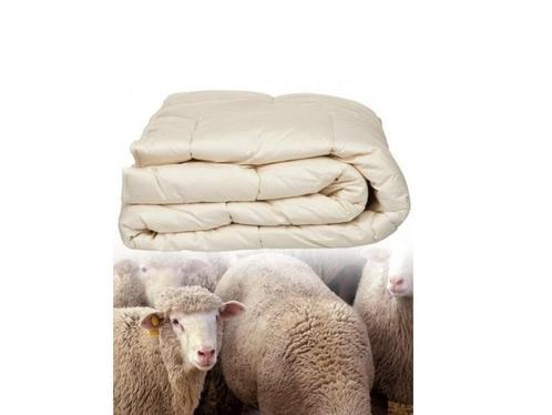 Dekbed Schapenwol 4-seizoenen - diverse maten, Huis en Inrichting, Slaapkamer | Beddengoed, Nieuw, Verzenden