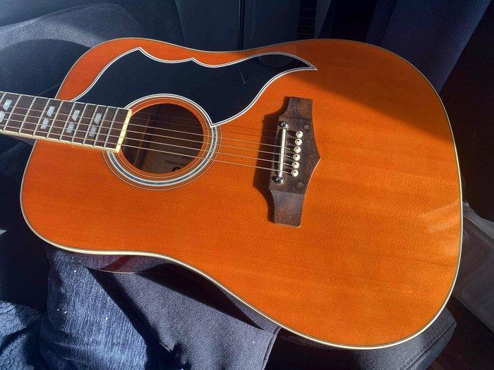 EKO - Ranger VI VR Folk - - Dreadnought gitaar - Italië -, Muziek en Instrumenten, Snaarinstrumenten | Gitaren | Akoestisch