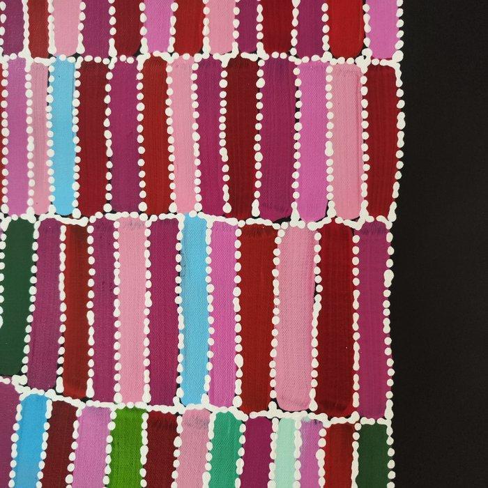 Salt Lake - Centrale Woestijn Aboriginal Schilderkunst -, Antiek en Kunst, Kunst | Niet-Westerse kunst