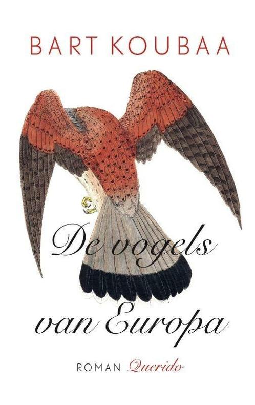 De vogels van Europa (9789021456034, Bart Koubaa), Boeken, Romans, Nieuw, Verzenden