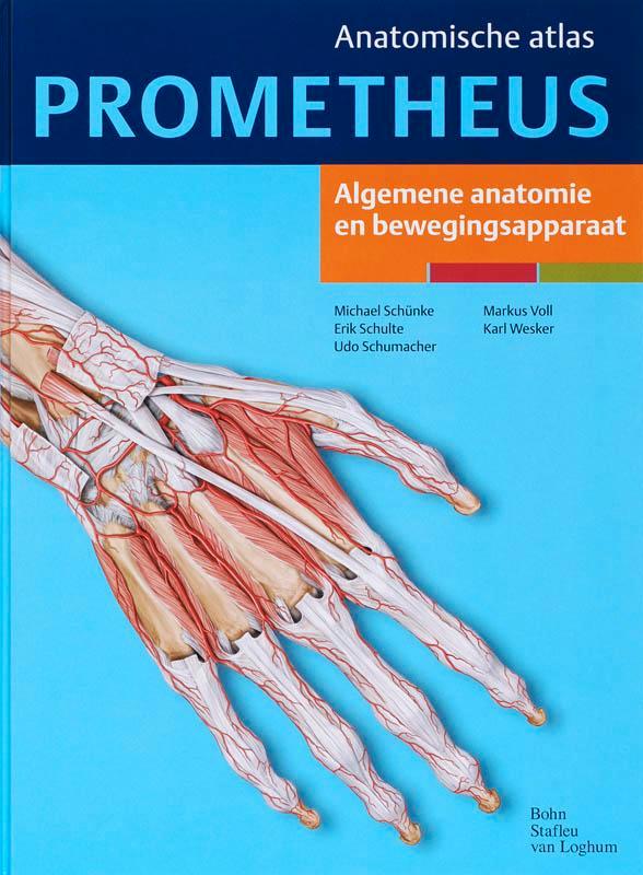 Prometheus anatomische atlas  1 Algemene anato 9789031343850, Boeken, Studieboeken en Cursussen, Zo goed als nieuw, Verzenden