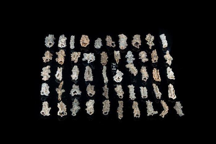 Set van 50 fulgurieten uit blikseminslagen - holle buizen -, Verzamelen, Mineralen en Fossielen