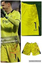 Napoli - Italiaanse voetbal competitie - Alex Meret Panta, Nieuw