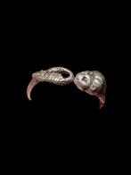 Oud-Grieks, Hellenistisch Extreem rare Silver Lion & Serpent