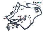 Kabelboom Kawasaki ZX 12 R Ninja 2002-2006 (NINJA ZX-12R, Verzenden, Gebruikt