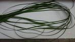 Berengras Beregras Zijdebloem Beregras berengras, Huis en Inrichting, Woonaccessoires | Kunstplanten en Kunstbloemen, Ophalen of Verzenden