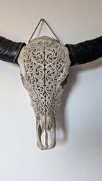 Buffel Gesneden schedel - Syncerus caffer - 64 cm - 64 cm -, Verzamelen, Dierenverzamelingen, Nieuw