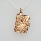 Zonder minimumprijs - Hanger - 14 karaat Geel goud -