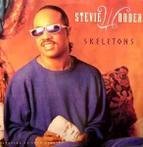 12 inch gebruikt - Stevie Wonder - Skeletons