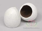 Coconut Top-cut 5 stuks. WIT 480gr Coco shell White, Ophalen of Verzenden, Nieuw