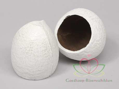 Coconut Top-cut 5 stuks. WIT 480gr Coco shell White, Hobby en Vrije tijd, Knutselen, Nieuw, Ophalen of Verzenden
