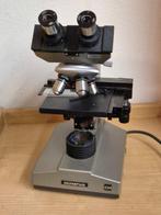 Binocular microscope - CH - 1980-1990 - Japan - Olympus