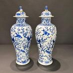 Balustervaas - Porselein - China - Guangxu (1875-1908)