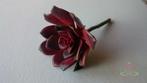 ECHEVERIA BURGUNDY Zijde- Latex Succulent ECHEVERIA, Ophalen of Verzenden, Nieuw