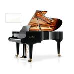 Schimmel Konzert K219 T WP messing vleugel, Nieuw