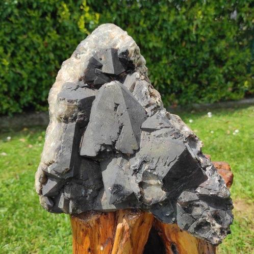 Zwarte kwarts - Natuurlijke morion Kristalen - Hoogte: 15 cm, Verzamelen, Mineralen en Fossielen