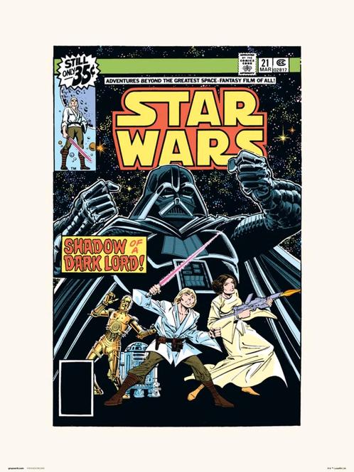 Kunstdruk Star Wars 21 Shadow Of A Dark Lord 30x40cm, Huis en Inrichting, Woonaccessoires | Schilderijen, Tekeningen en Foto's