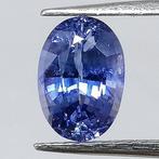 Saffier - 1.21 ct - Instituto Gemólogico Español (IGE), Sieraden, Tassen en Uiterlijk, Edelstenen, Nieuw
