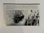 AP - Set of 4 Vintage NASA Mars Exploration Photographs –