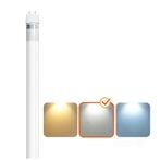 LED2B LED TL-buis 60cm 9W/840 900lm | Vervangt Philips TL..., Ophalen of Verzenden, Nieuw